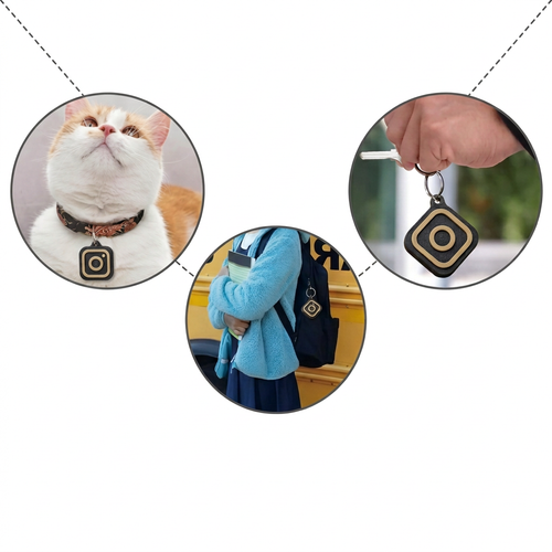 TAPIN tag on a cat collar, a school bag and a set of keys
